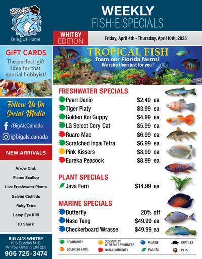 Big Al's (Whitby) Weekly Specials April 4 to 10