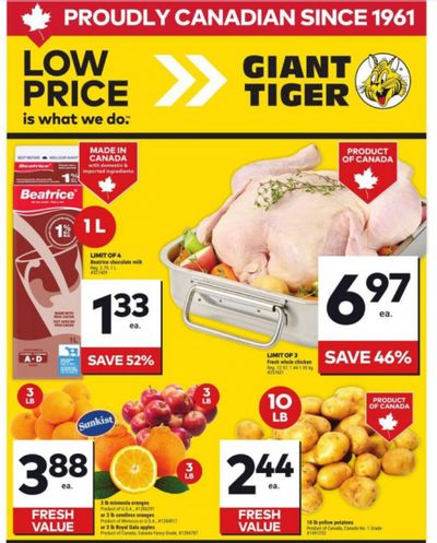 Giant Tiger Canada Flyer Deals April 9th – 15th