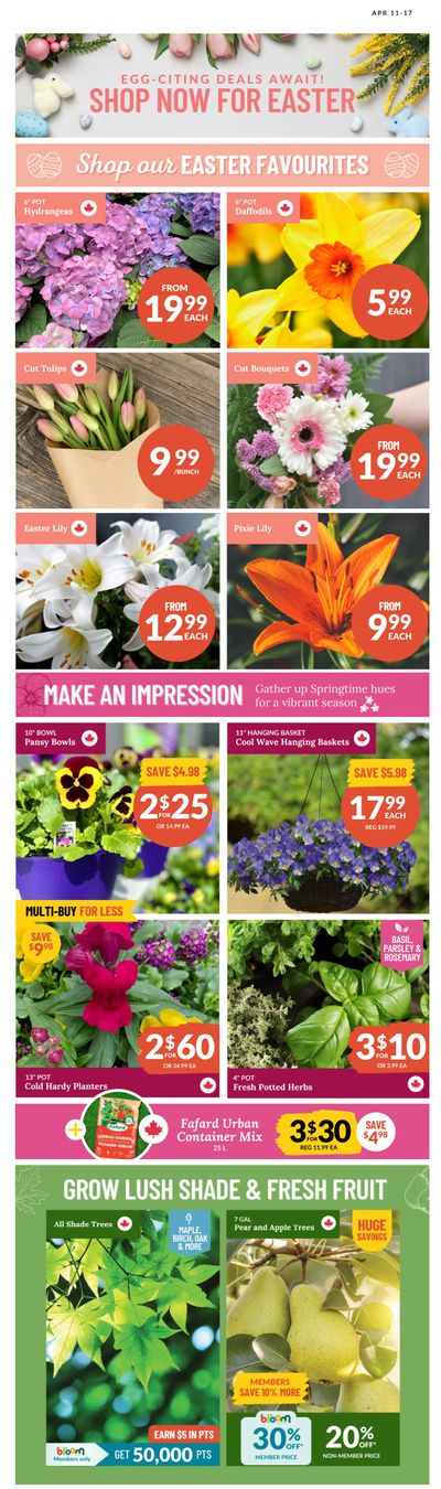 Lakeside Garden Gallery Flyer April 11 to 17
