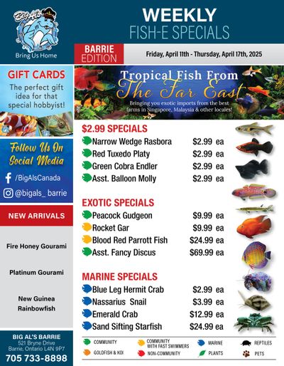 Big Al's (Barrie) Weekly Specials April 11 to 17 Big Al's (Barrie) Weekly Specials April 11 to 17