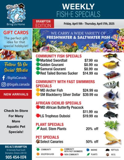 Big Al's (Brampton) Weekly Specials April 11 to 17