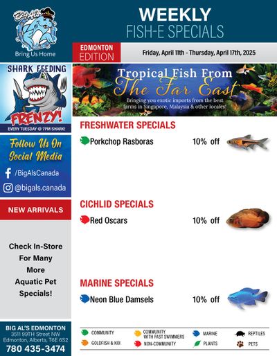 Big Al's (Edmonton) Weekly Specials April 11 to 17
