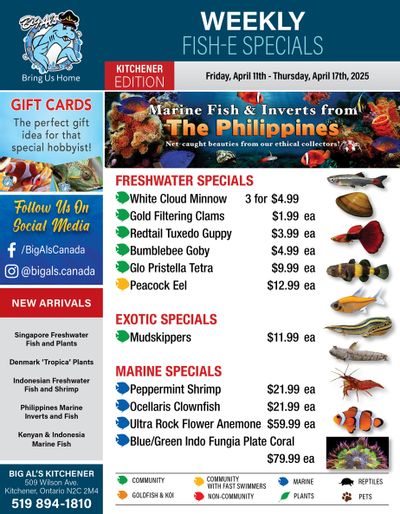 Big Al's (Kitchener) Weekly Specials April 11 to 17