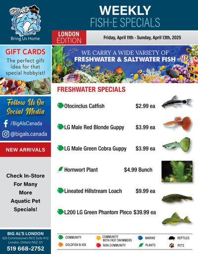Big Al's (London) Weekend Specials April 11 to 13