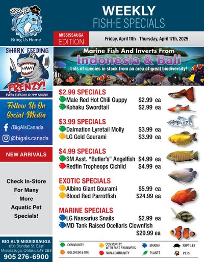 Big Al's (Mississauga) Weekly Specials April 11 to 17