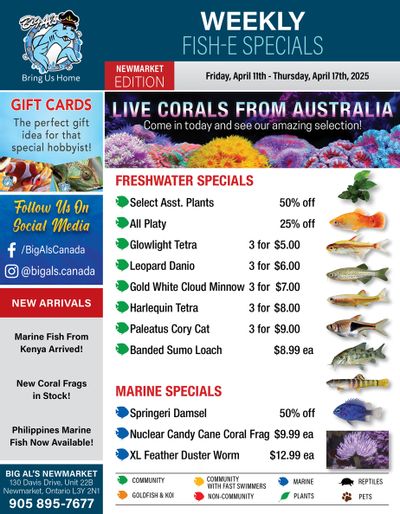 Big Al's (Newmarket) Weekly Specials April 11 to 17