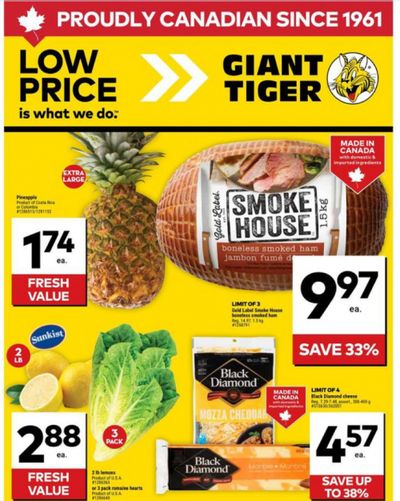 Giant Tiger Canada Flyer Deals April 16th – 22nd