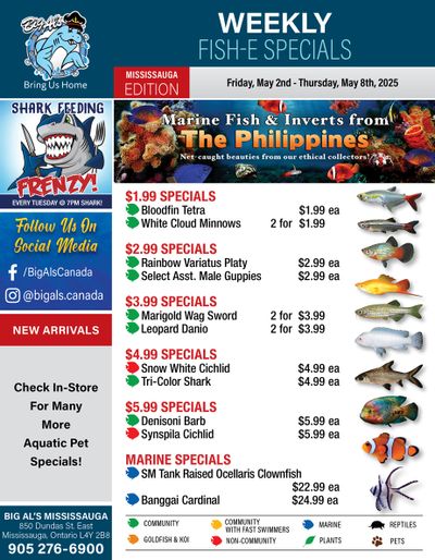 Big Al's (Mississauga) Weekly Specials May 2 to 8