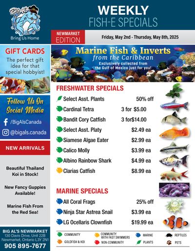 Big Al's (Newmarket) Weekly Specials May 2 to 8