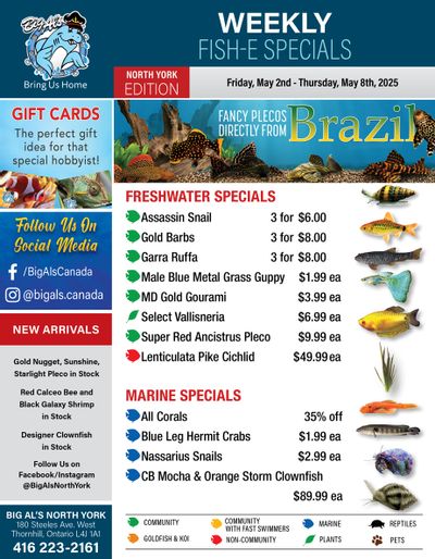 Big Al's (North York) Weekly Specials May 2 to 8
