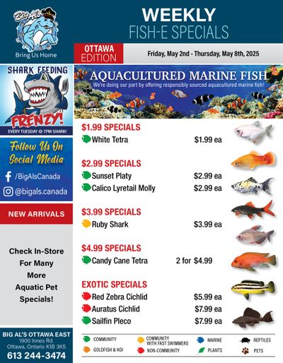 Big Al's (Ottawa) Weekly Specials May 2 to 8