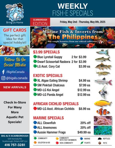 Big Al's (Scarborough) Weekly Specials May 2 to 8