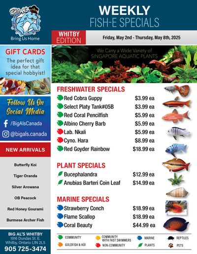 Big Al's (Whitby) Weekly Specials May 2 to 8 Big Al's (Whitby) Weekly Specials May 2 to 8