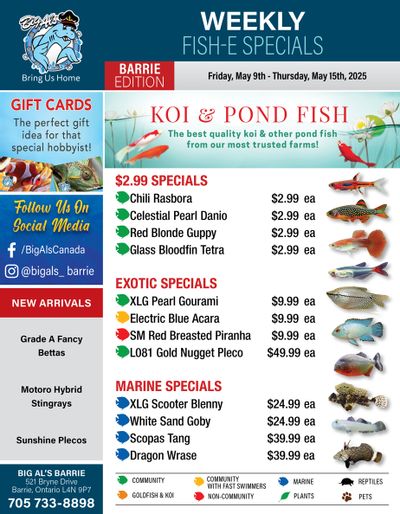 Big Al's (Barrie) Weekly Specials May 9 to 15