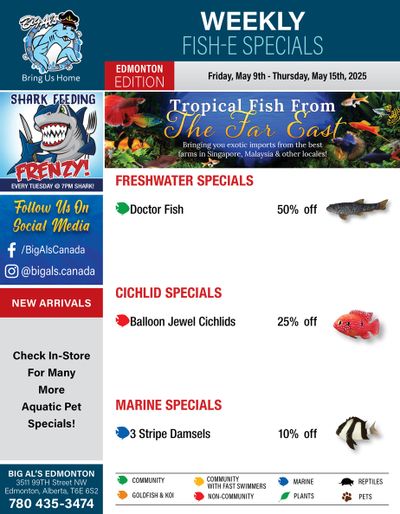 Big Al's (Edmonton) Weekly Specials May 9 to 15