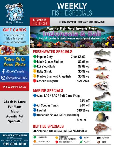Big Al's (Kitchener) Weekly Specials May 9 to 15