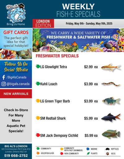 Big Al's (London) Weekend Specials May 9 to 11