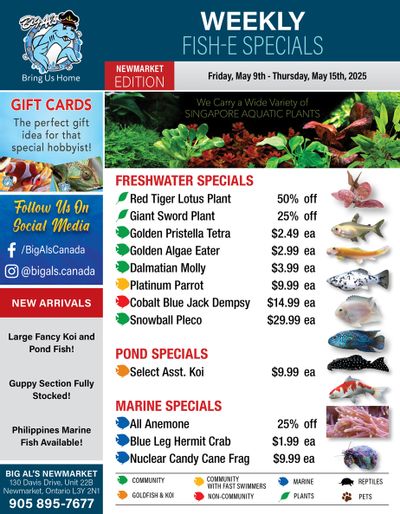 Big Al's (Newmarket) Weekly Specials May 9 to 15