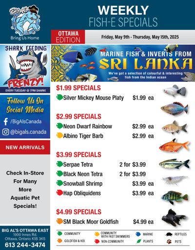 Big Al's (Ottawa) Weekly Specials May 9 to 15
