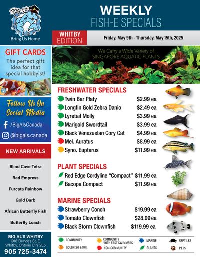 Big Al's (Whitby) Weekly Specials May 9 to 15 Big Al's (Whitby) Weekly Specials May 9 to 15
