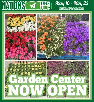 Nations Fresh Foods (Mississauga) Flyer May 16 to 22