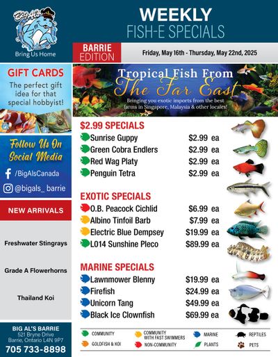 Big Al's (Barrie) Weekly Specials May 16 to 22