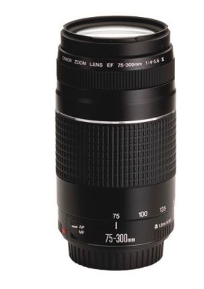Canon 75-300 mm Zoom Lens For $149.99 At Best Buy Canada