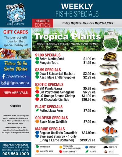 Big Al's (Hamilton) Weekly Specials May 16 to 22