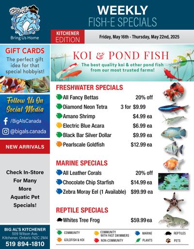 Big Al's (Kitchener) Weekly Specials May 16 to 22