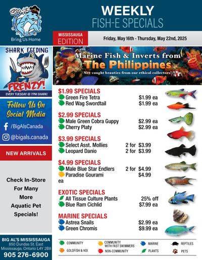 Big Al's (Mississauga) Weekly Specials May 16 to 22