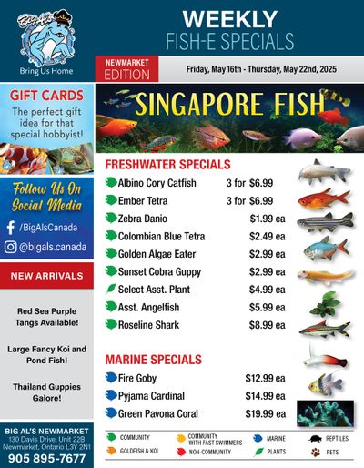 Big Al's (Newmarket) Weekly Specials May 16 to 22