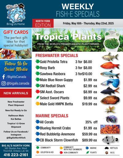 Big Al's (North York) Weekly Specials May 16 to 22