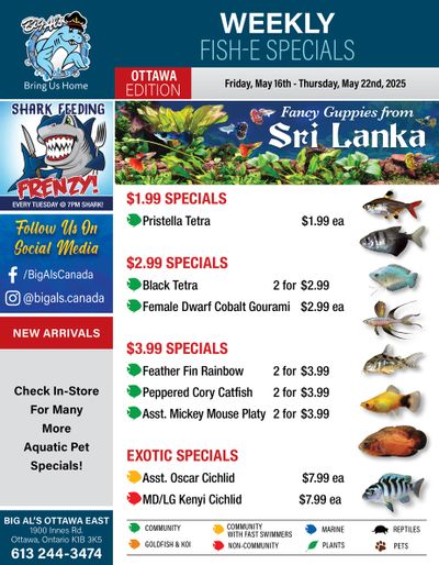 Big Al's (Ottawa) Weekly Specials May 16 to 22