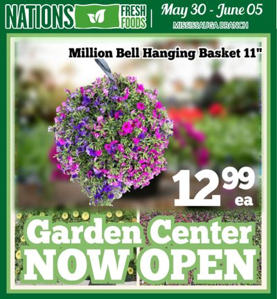 Nations Fresh Foods (Mississauga) Flyer May 30 to June 5