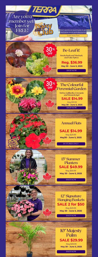 Terra Greenhouses Flyer May 30 to June 5 Terra Greenhouses Flyer May 30 to June 5