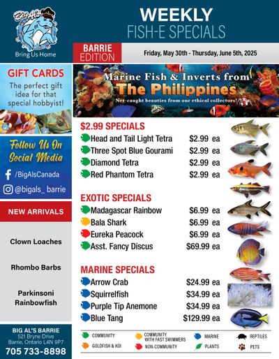 Big Al's (Barrie) Weekly Specials May 30 to June 5