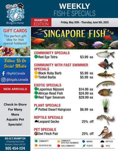Big Al's (Brampton) Weekly Specials May 30 to June 5