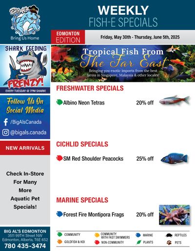 Big Al's (Edmonton) Weekly Specials May 30 to June 5