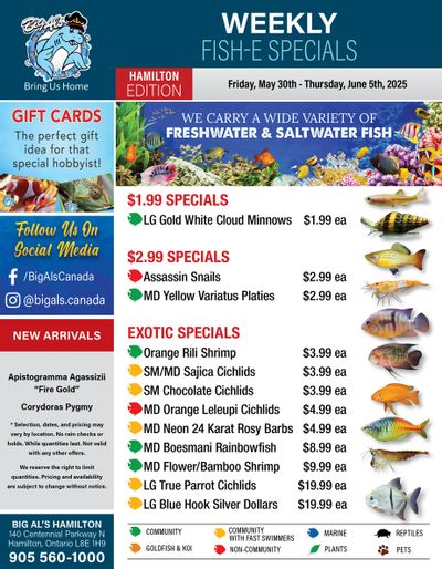 Big Al's (Hamilton) Weekly Specials May 30 to June 5