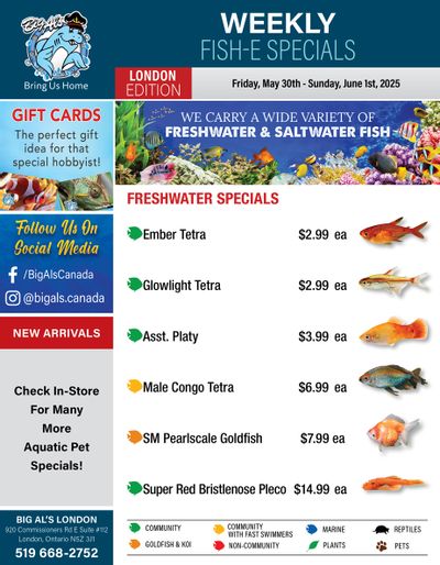 Big Al's (London) Weekend Specials May 30 to June 1
