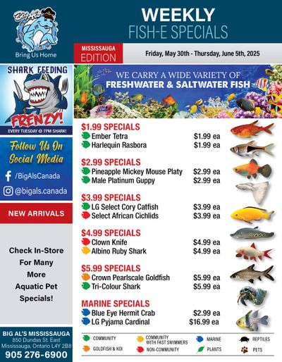 Big Al's (Mississauga) Weekly Specials May 30 to June 5