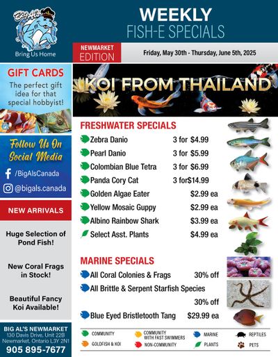 Big Al's (Newmarket) Weekly Specials May 30 to June 5