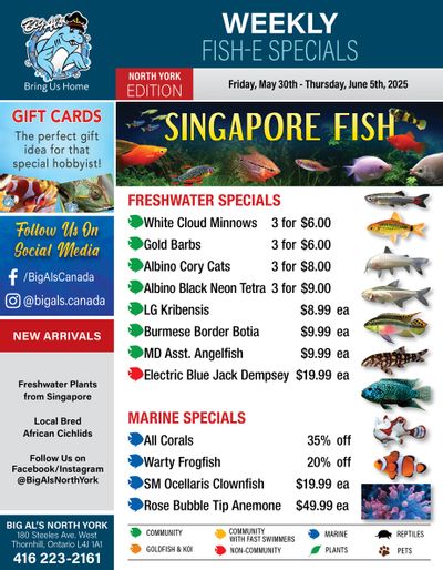 Big Al's (North York) Weekly Specials May 30 to June 5