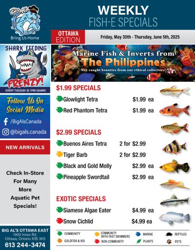 Big Al's (Ottawa) Weekly Specials May 30 to June 5