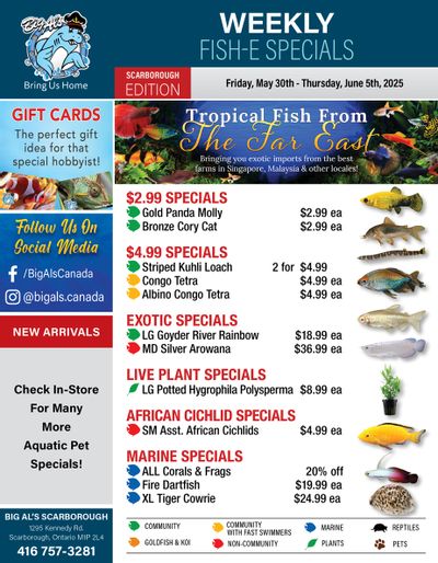 Big Al's (Scarborough) Weekly Specials May 30 to June 5