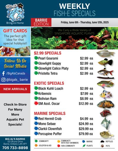Big Al's (Barrie) Weekly Specials June 6 to 12