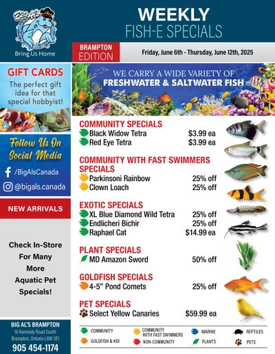 Big Al's (Brampton) Weekly Specials June 6 to 12