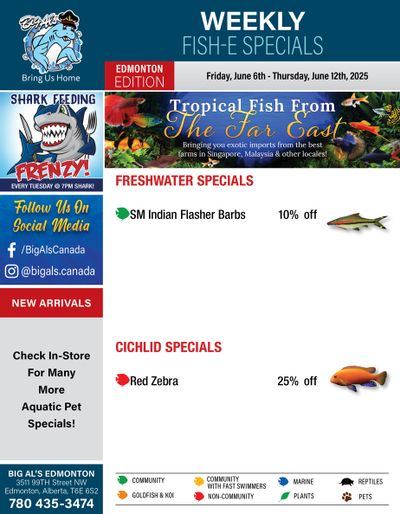 Big Al's (Edmonton) Weekly Specials June 6 to 12