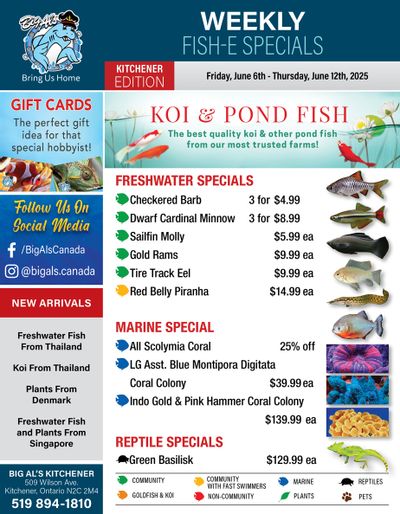Big Al's (Kitchener) Weekly Specials June 6 to 12