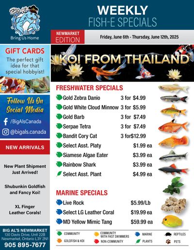 Big Al's (Newmarket) Weekly Specials June 6 to 12